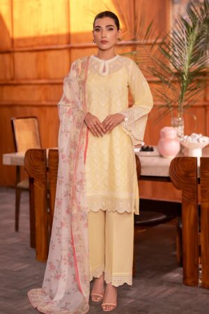 Seran Chikankari Festive Edit SE24 02 NIRAN Lawn Collection 24