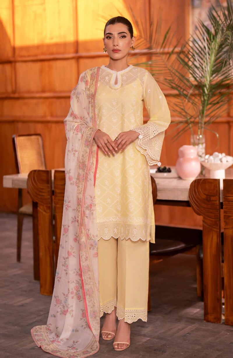 Seran Chikankari Festive Edit Se24 02 Niran Lawn Collection 24