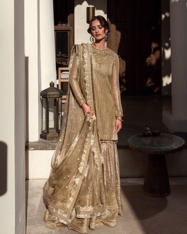 Faiza Saqlain Ayleen Luxe Collection 24