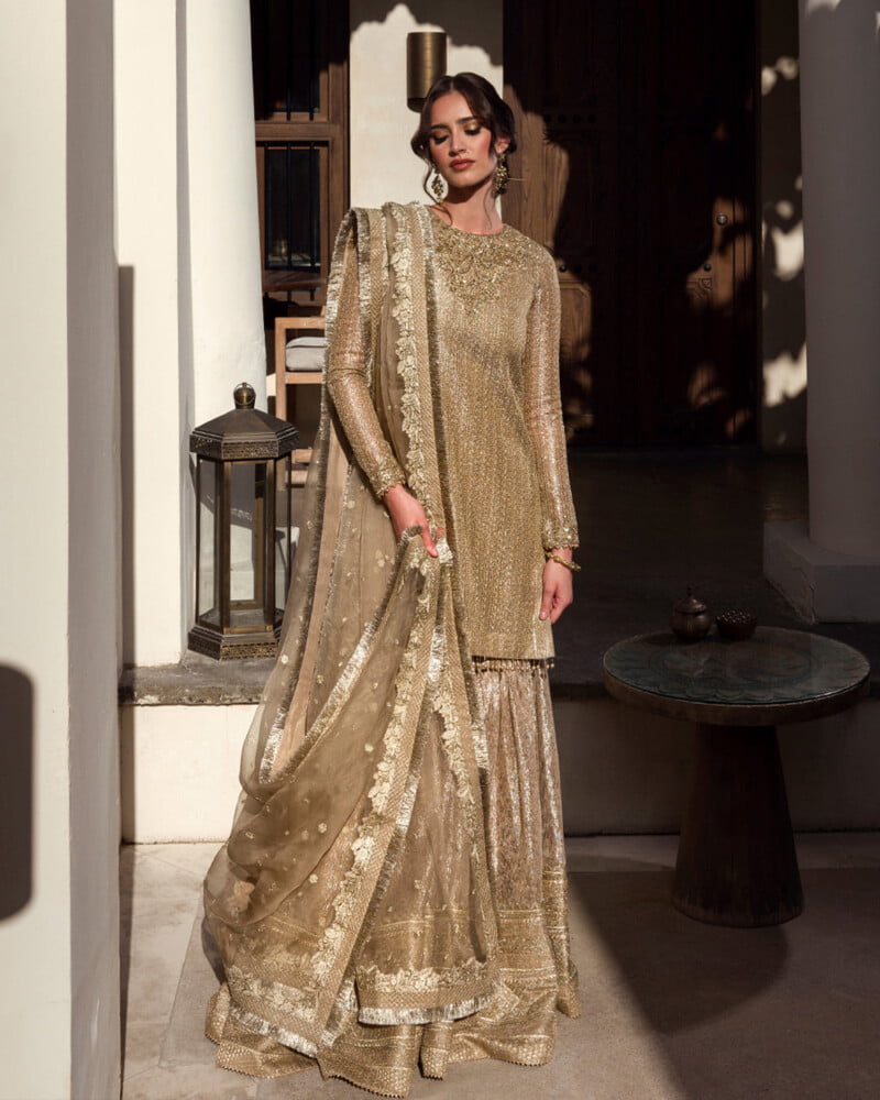 Faiza Saqlain Ayleen Luxe Collection 24