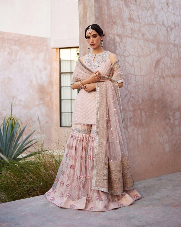 Faiza Saqlain Baari Luxe Collection 24