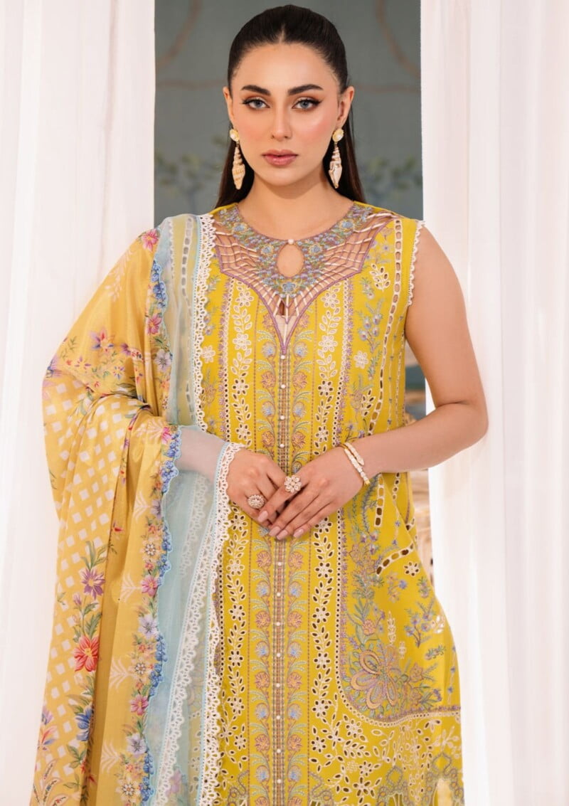 Bin Ilyas La Hira Bih 201 B Lawn Collection