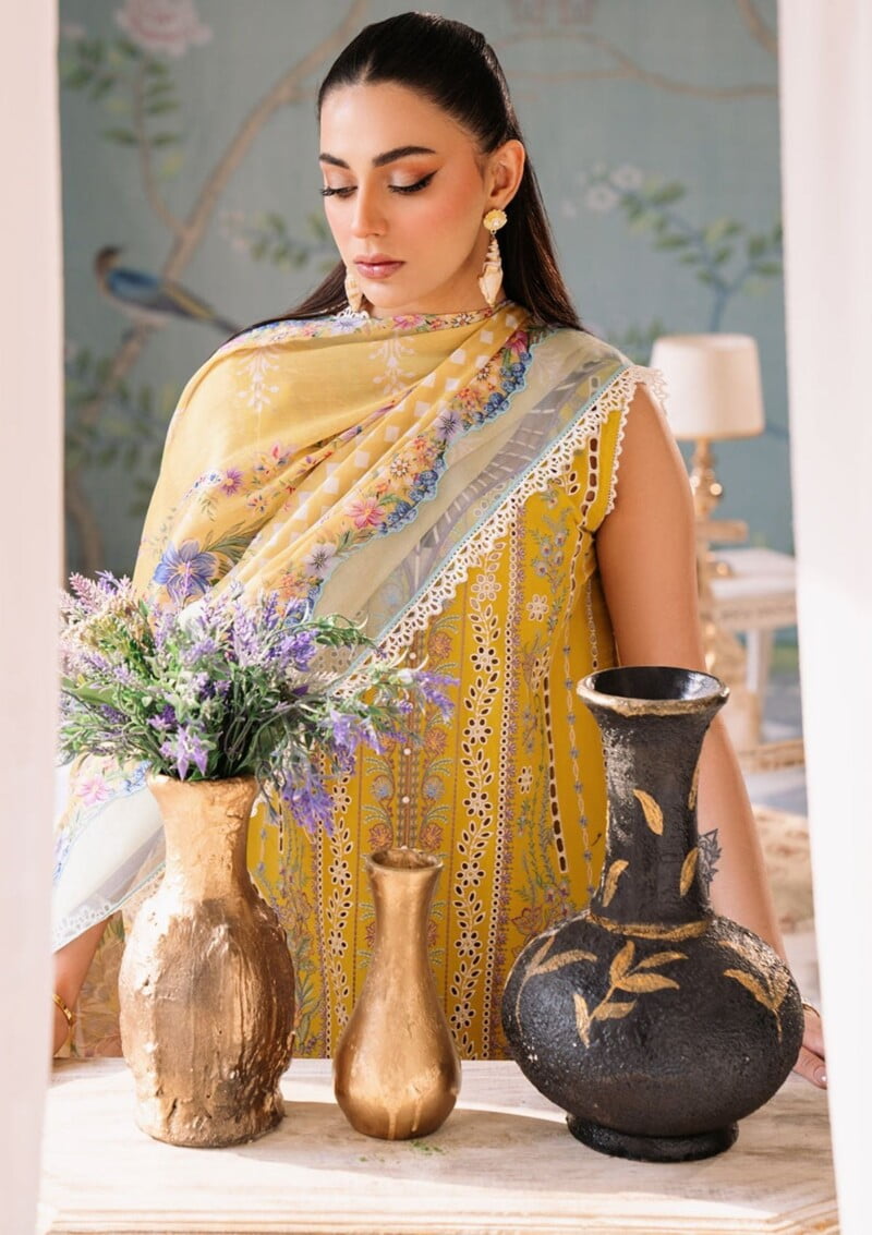 Bin Ilyas La Hira Bih 201 B Lawn Collection