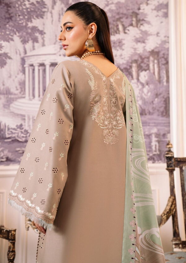 Bin Ilyas La Hira Bih 203 B Lawn Collection