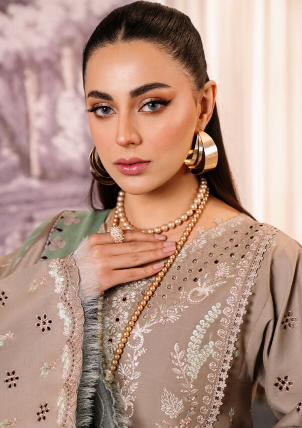 Bin Ilyas La Hira Bih 203 B Lawn Collection