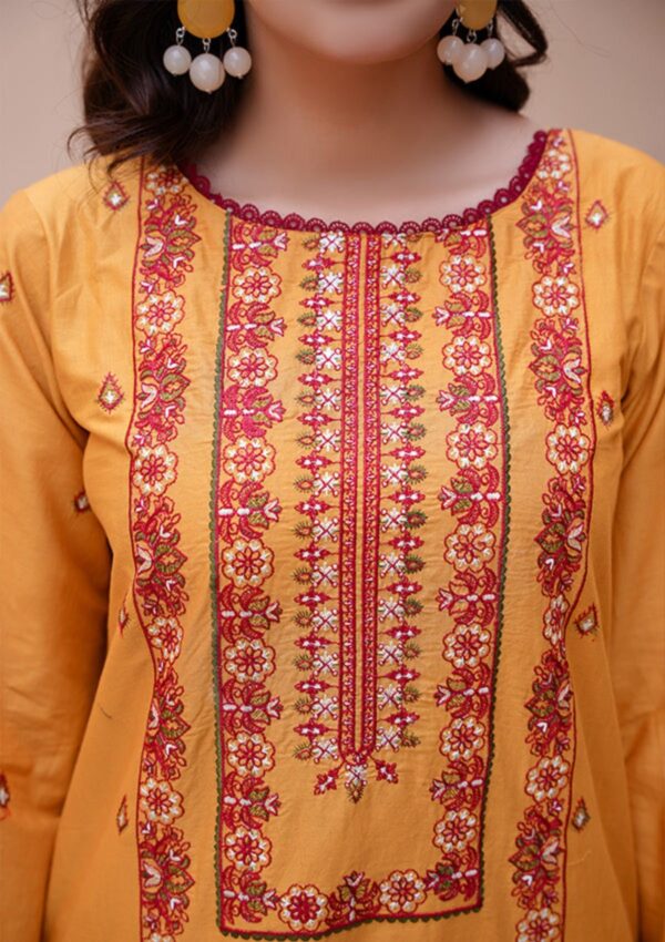 Noor Jahan Kohenoor Kn24 05 Lawn Collection 24