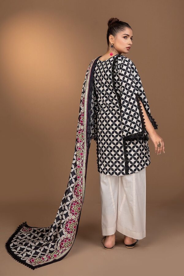 Safwa Fine Ics-30 Printed Doria Lawn Collection 2024