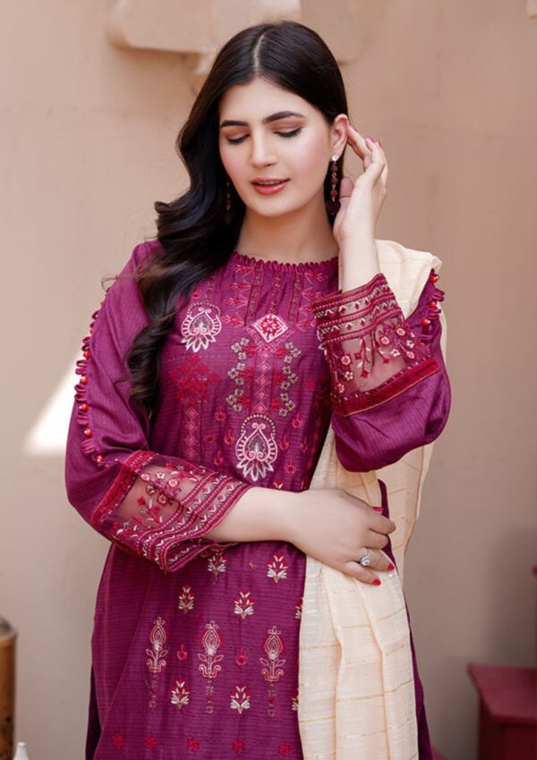 Noor Jahan Kohenoor Kn24 06 Lawn Collection 24