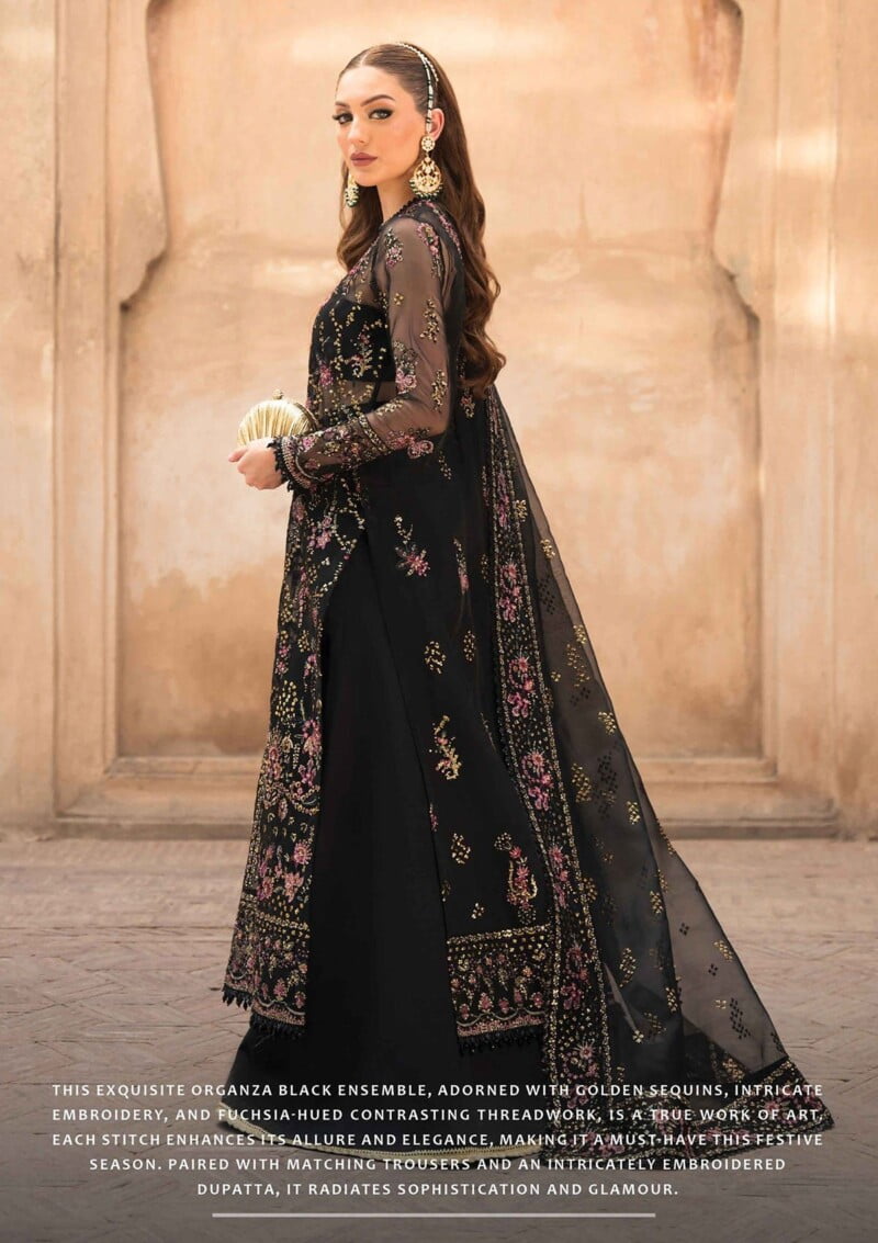 Ayzel Pehli Nazar Ap24 04 Sultana Formal Collection