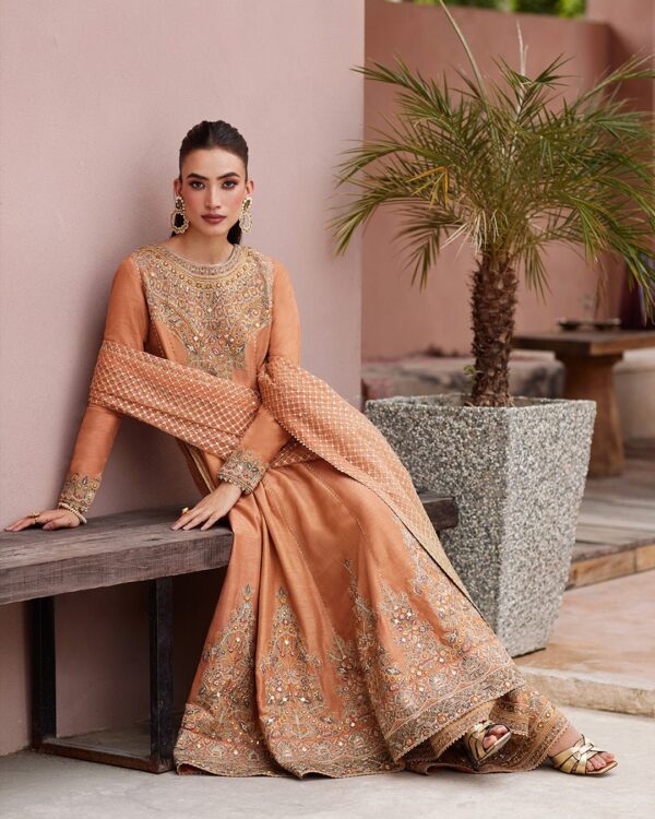 Faiza Saqlain Astur Collection 24