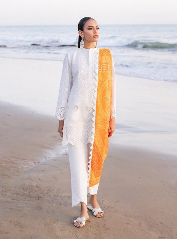 Zainab Chottani D-03B Chunari Embroidered Chikankari Lawn 3Pc Suit Collection 2024