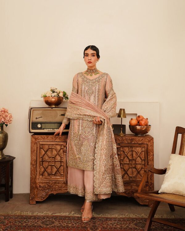 Faiza Faisal Anika 2 Pc Stitched Umang Chapter 2 Collection 24