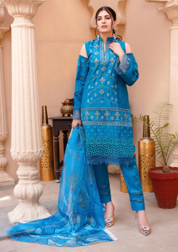 Noor Jahan Kohenoor Kn24 10 Lawn Collection 24