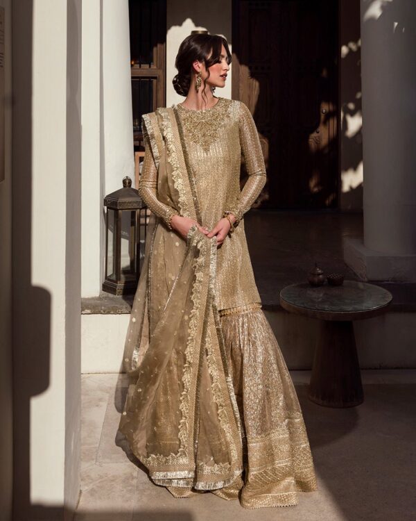 Faiza Saqlain Ayleen Luxe Collection 24