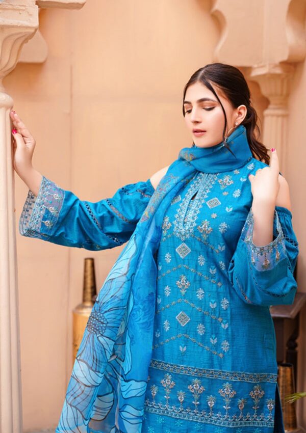 Noor Jahan Kohenoor Kn24 10 Lawn Collection 24