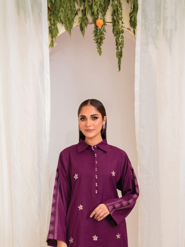 Faiza Faisal Hurain | 2 Pc Stitched Umang Chapter 2