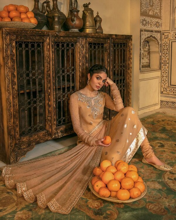 Faiza Saqlain Hoori Luxe Collection 24