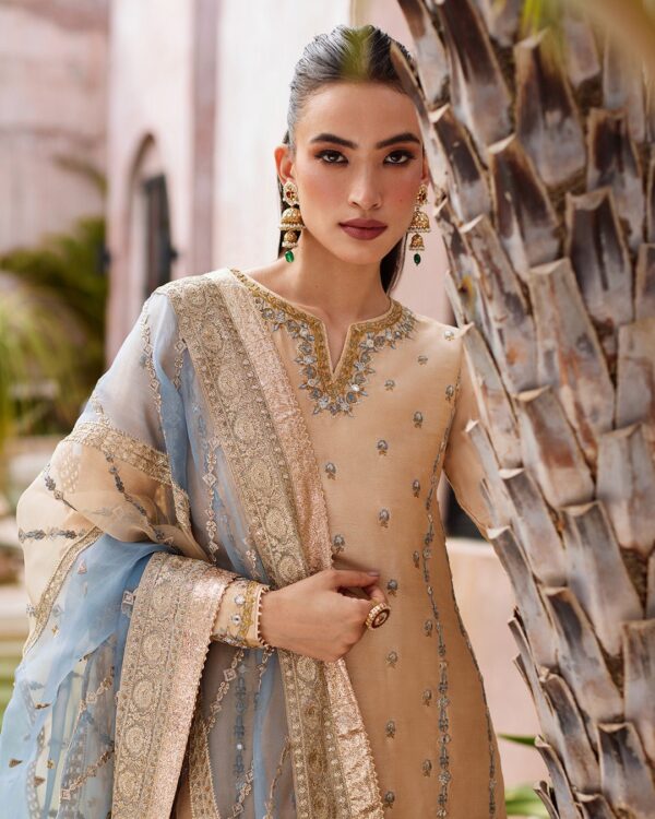 Faiza Saqlain Gabina Luxe Collection 24