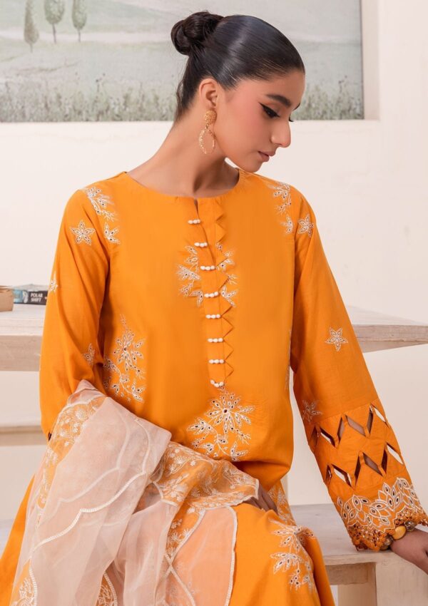 Humdum Arzu All24 03 Lawn Collection