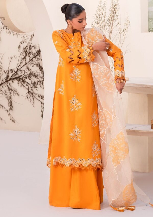 Humdum Arzu All24 03 Lawn Collection