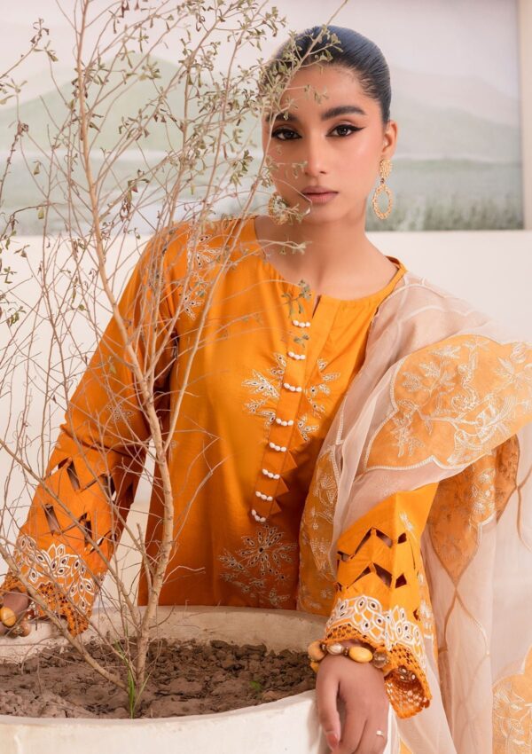 Humdum Arzu All24 03 Lawn Collection