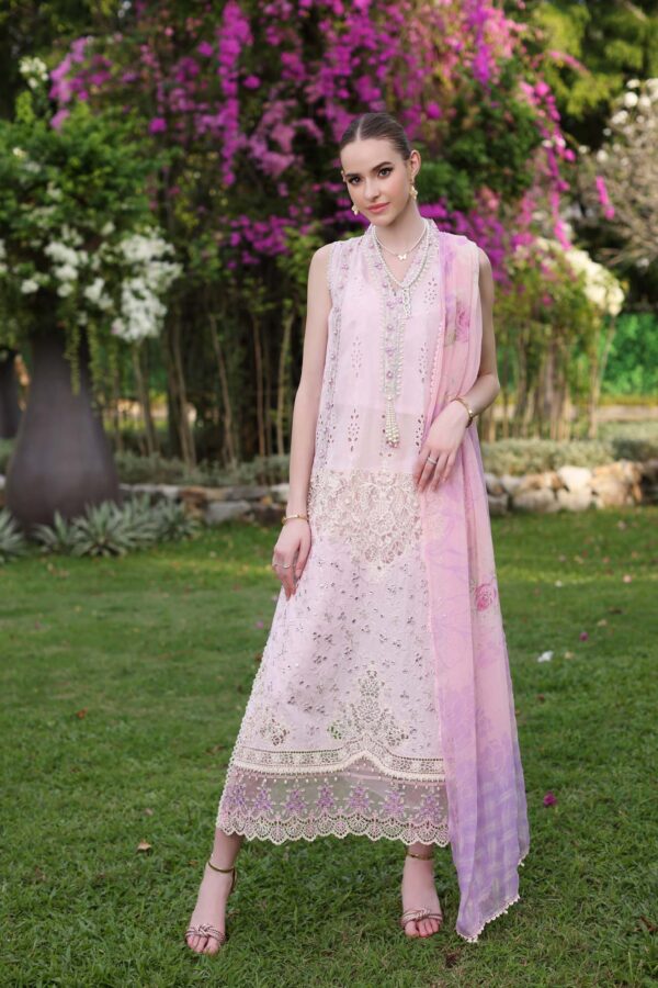 Farasha Pink Glow Printed Essentials Collection 24