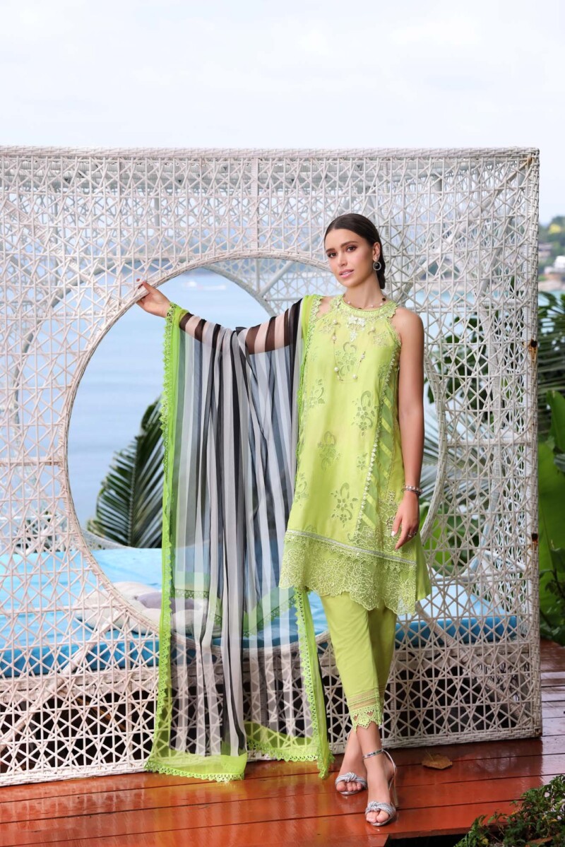 Noor By Saadia Asad D8b Luxe Printkari Collection 24