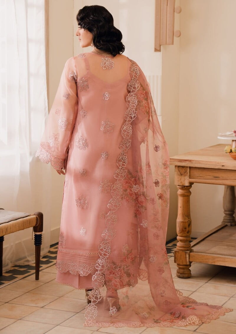 Bin Ilyas Naqsh D 5B Laira Lawn Collection