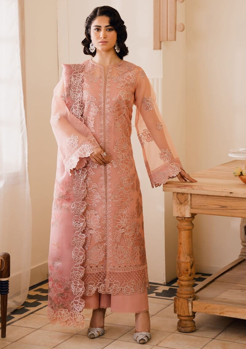 Bin Ilyas Naqsh D 5B Laira Lawn Collection