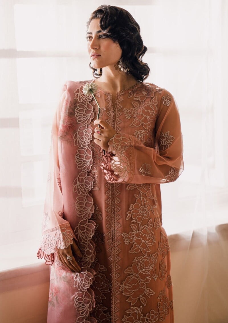 Bin Ilyas Naqsh D 5B Laira Lawn Collection