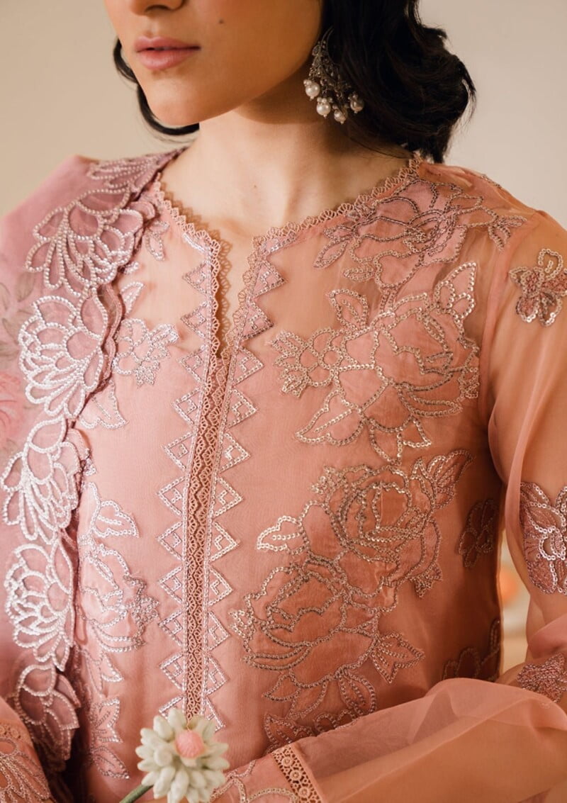 Bin Ilyas Naqsh D 5B Laira Lawn Collection