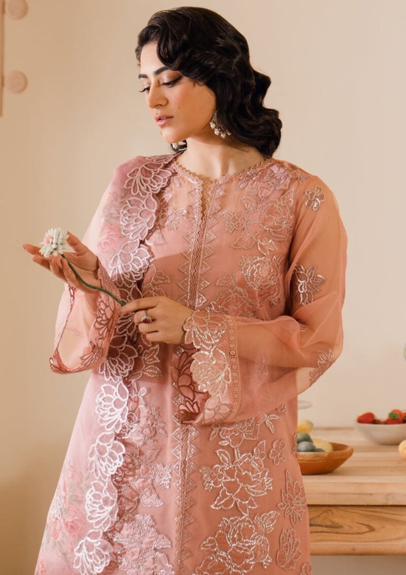 Bin Ilyas Naqsh D 5B Laira Lawn Collection