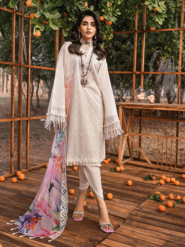 Gul Ahmed Bct-42001 Premium Embroidered Lawn Collection 2024