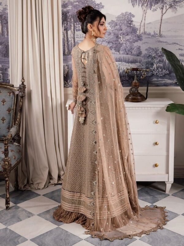 Iznik Chinon Cc-36 Damiyah Embroidered Net 3Pc Suit Collection 2024
