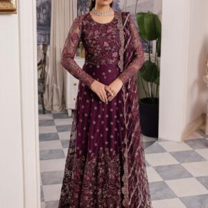 Iznik Chinon Cc-37 Aida Embroidered Net 3pc Suit Collection 2024