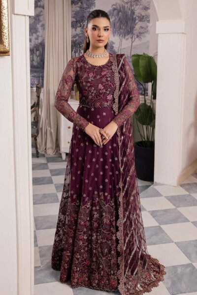 Iznik Chinon Cc-37 Aida Embroidered Net 3pc Suit Collection 2024