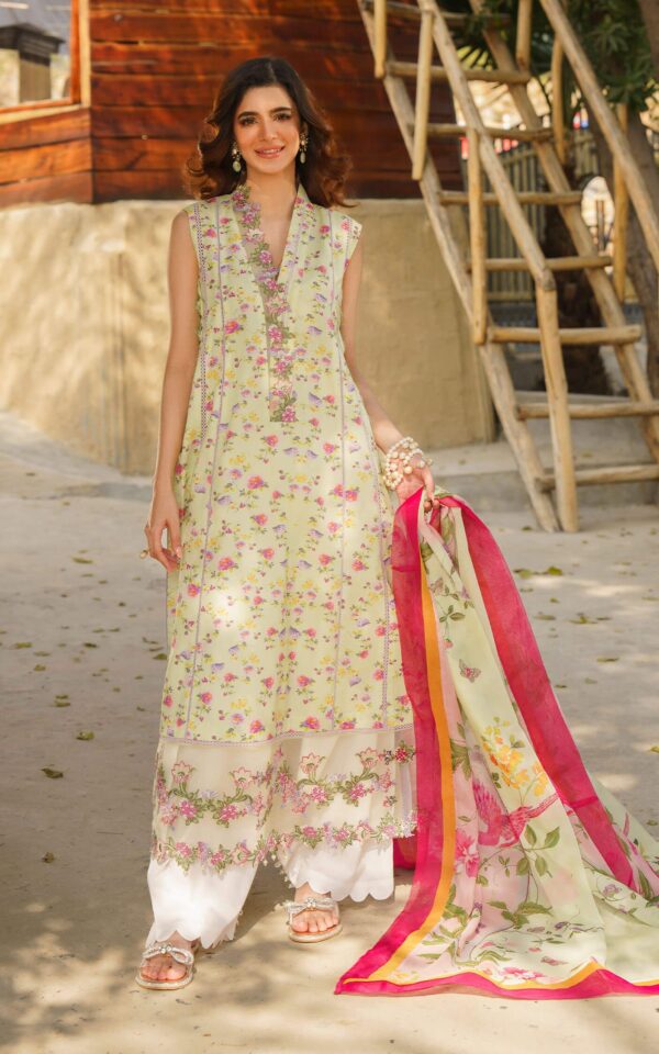 Asifa &Amp; Nabeel M 14 Chints Meraki Premium Lawn Collection