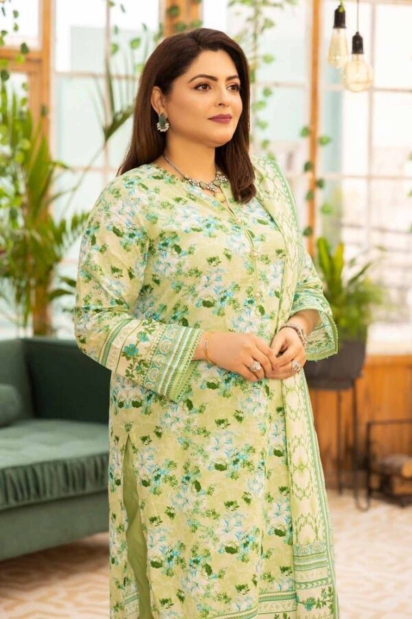 Gul Ahmed Cl-42077B Mothers Printed Lawn Collection 2024