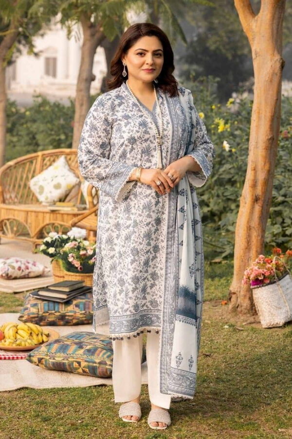 Gul Ahmed Cl-42193B Mothers Printed Lawn Collection 2024