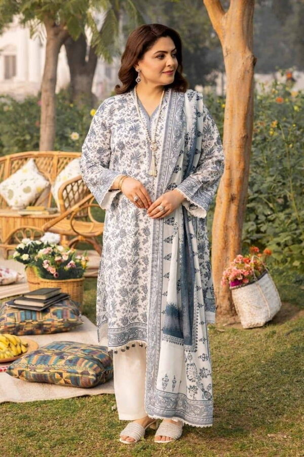 Gul Ahmed Cl-42193B Mothers Printed Lawn Collection 2024