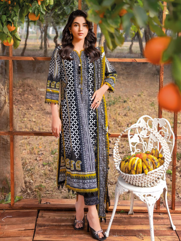 Gul Ahmed Cl-42089 Essential Embroidered Lawn Collection 2024