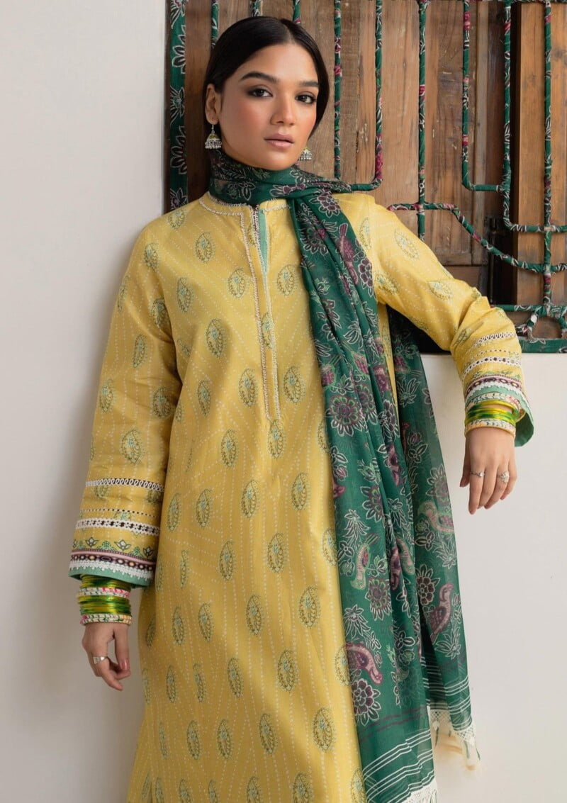 Bin Ilyas Clara Il24 211 A Lawn Collection