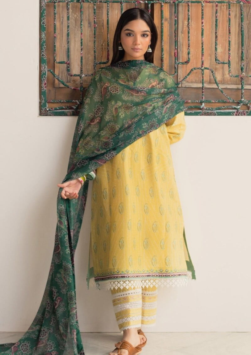 Bin Ilyas Clara Il24 211 A Lawn Collection