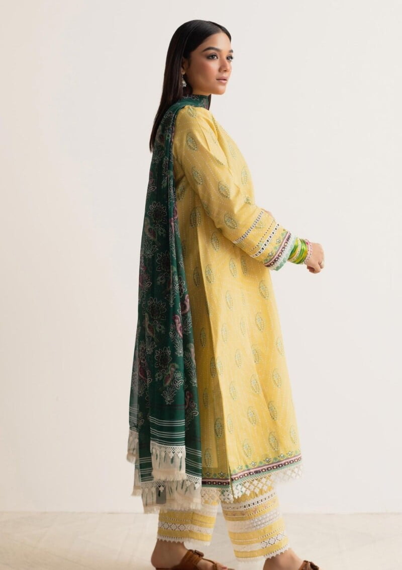 Bin Ilyas Clara Il24 211 A Lawn Collection