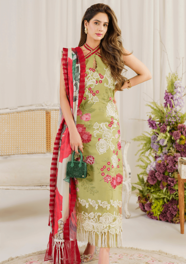 Asifa &Amp; Nabeel Ap24 07 Cosmos Pretty In Pink Premium Lawn Collection