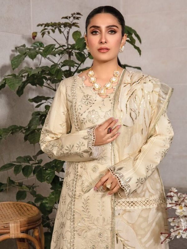 Rang Rasiya D-02 Haya Premium Embroidered Lawn 3Pc Suit Collection 2024