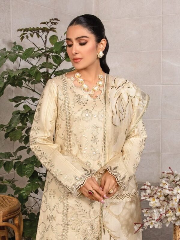 Rang Rasiya D-02 Haya Premium Embroidered Lawn 3Pc Suit Collection 2024