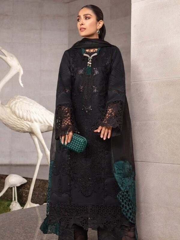 Rang Rasiya D-06 Zoya Premium Embroidered Lawn 3Pc Suit Collection 2024