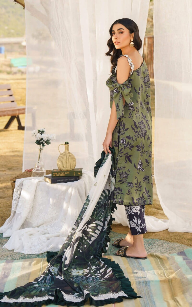 Asifa &Amp; Nabeel M 11 Darcy Meraki Premium Lawn Collection