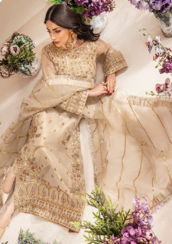 Mashq Zainab Alive (Qfd 0063) Formal Collection